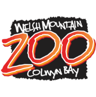 Welsh Mountain Zoo