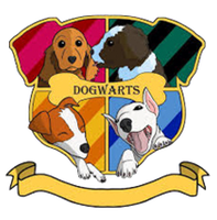 Dogwarts