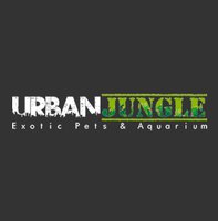 Urban Jungle